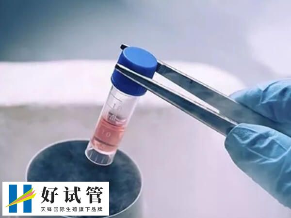 移植冻胚会出现停经