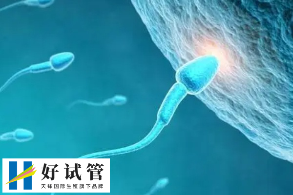 取精第二次怀孕几率在40%-60%