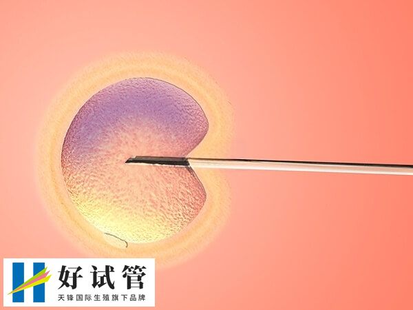 胚胎移植第15天出血是能够保胎的